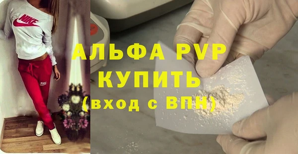 индика Касимов
