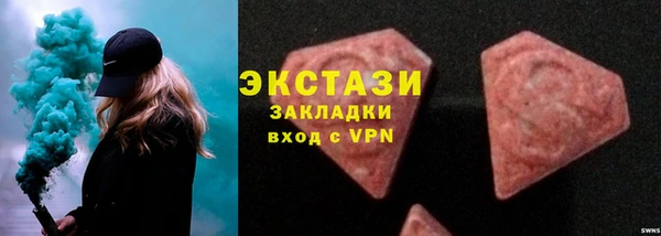 амф Каменка
