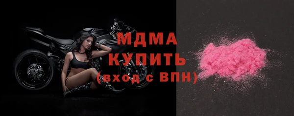 сатива Инта