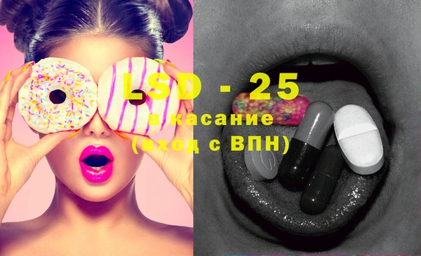 индика Касимов
