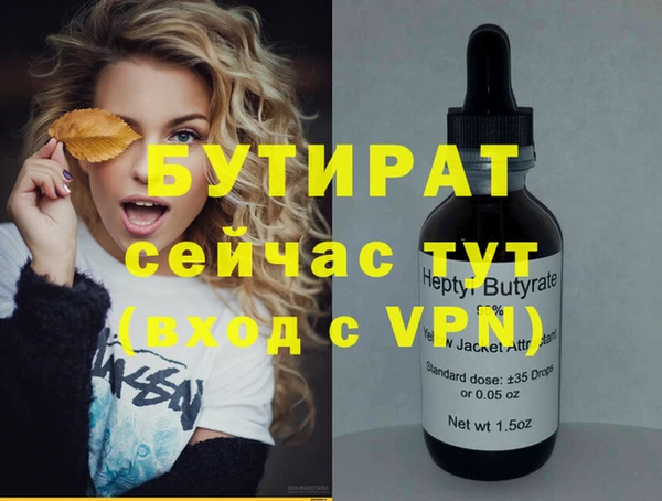 сатива Инта