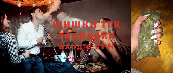 амф Каменка