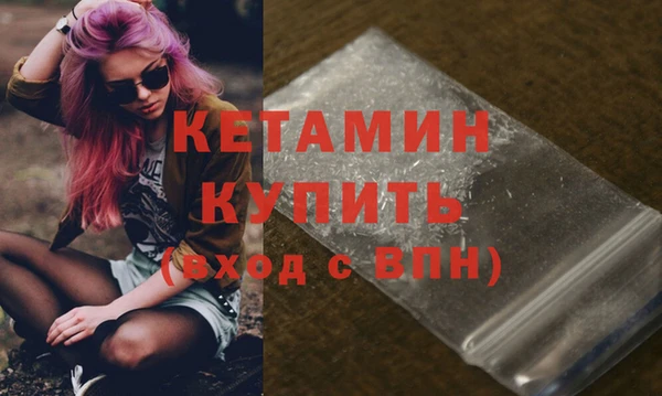 сатива Инта